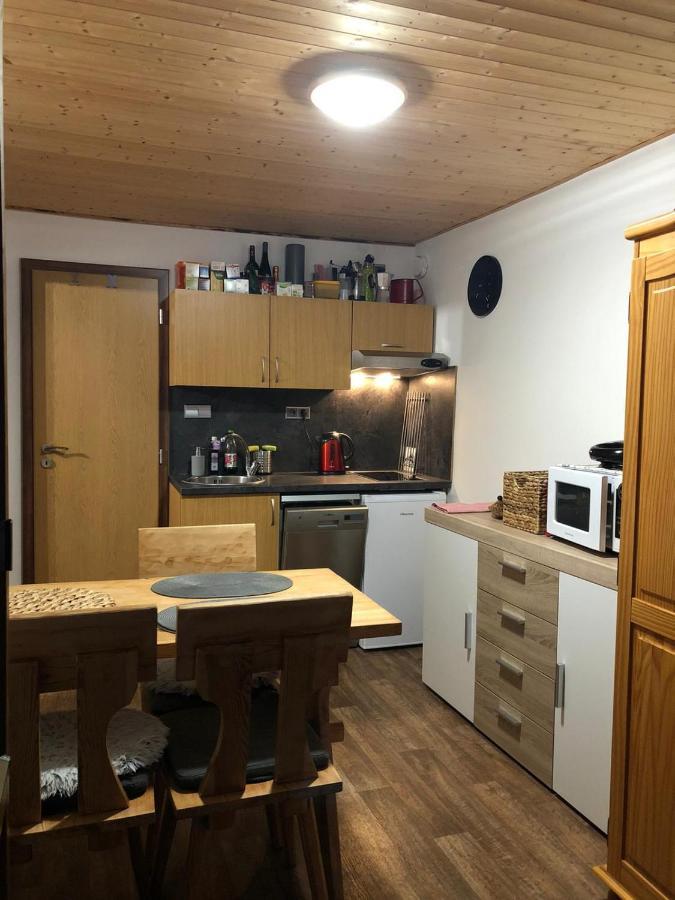 Apartman S Vyhledem Na Jezerni Stenu Железна-Руда Экстерьер фото