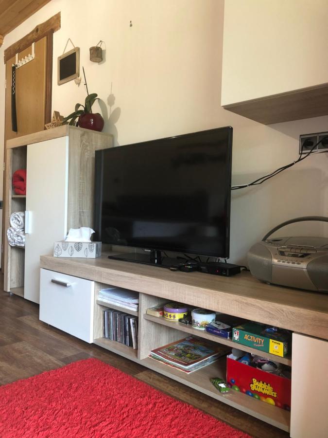Apartman S Vyhledem Na Jezerni Stenu Железна-Руда Экстерьер фото