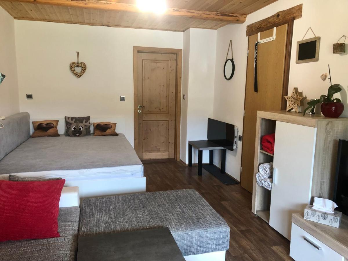 Apartman S Vyhledem Na Jezerni Stenu Железна-Руда Экстерьер фото