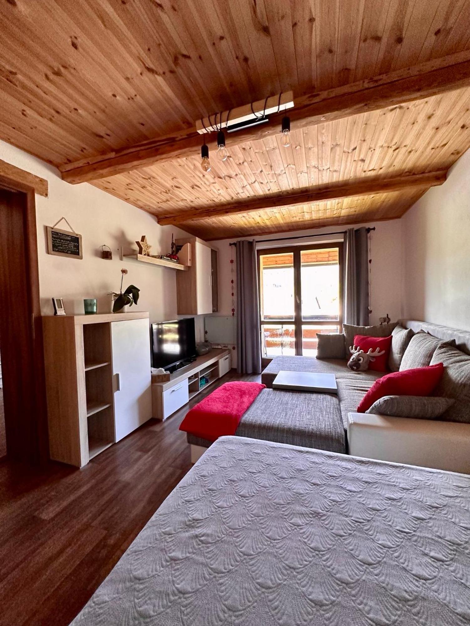 Apartman S Vyhledem Na Jezerni Stenu Железна-Руда Экстерьер фото
